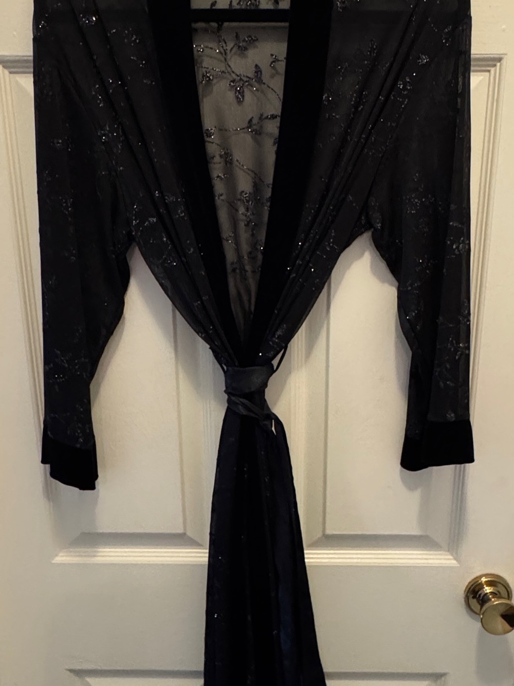 Black Embellished Sheer Robe with Velvet Trim